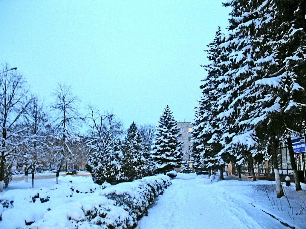 январь 2009, Кропоткин