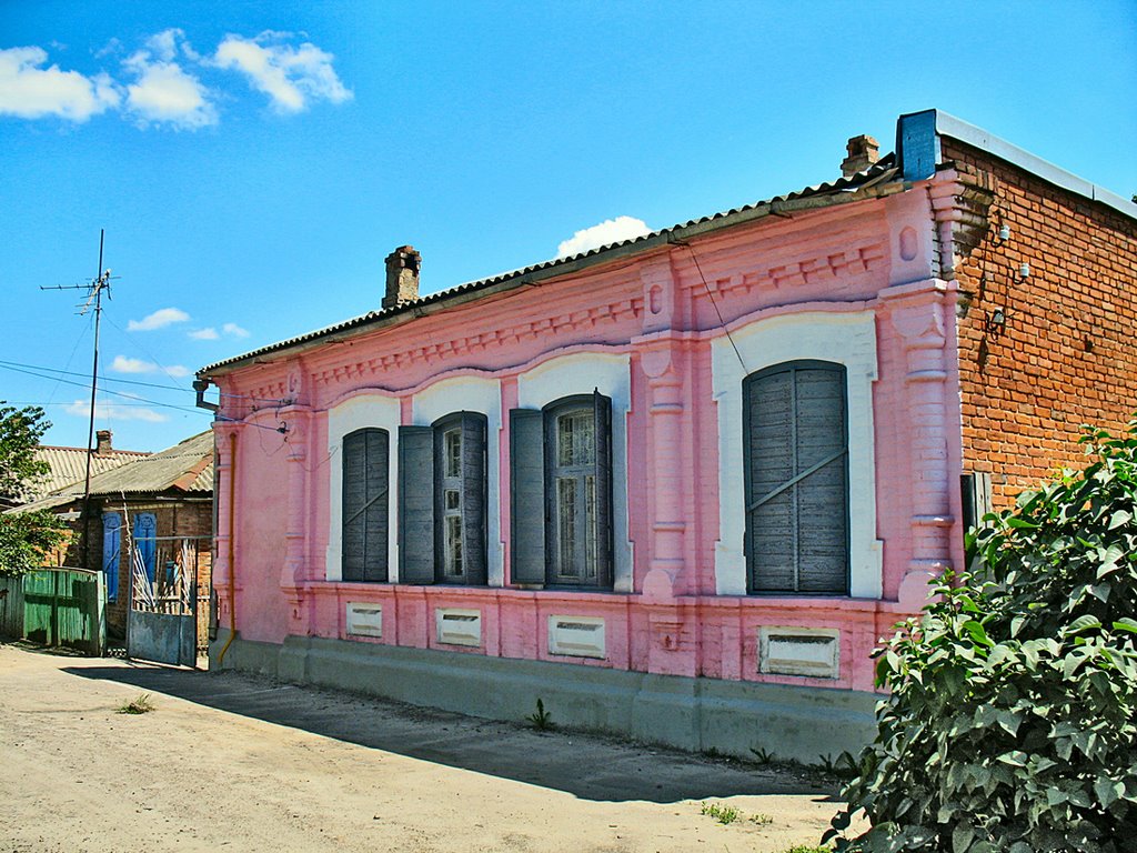 розовый мамонт, Кропоткин