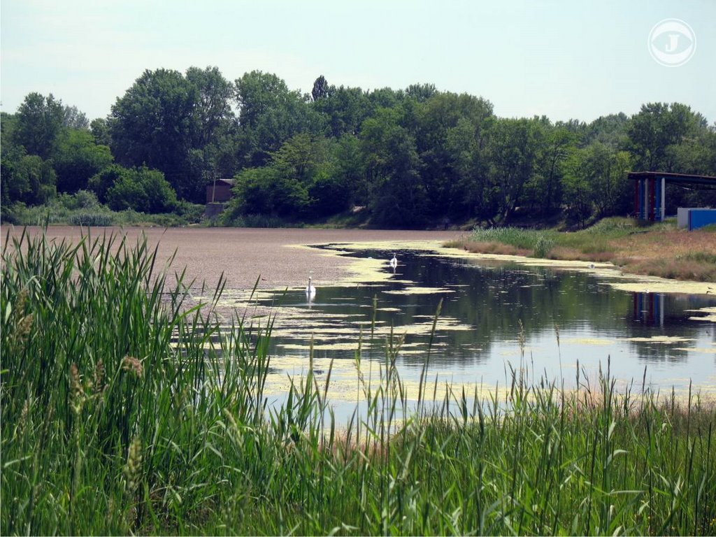 Городской пляж кропоткин фото Городской пляж кропоткин фото