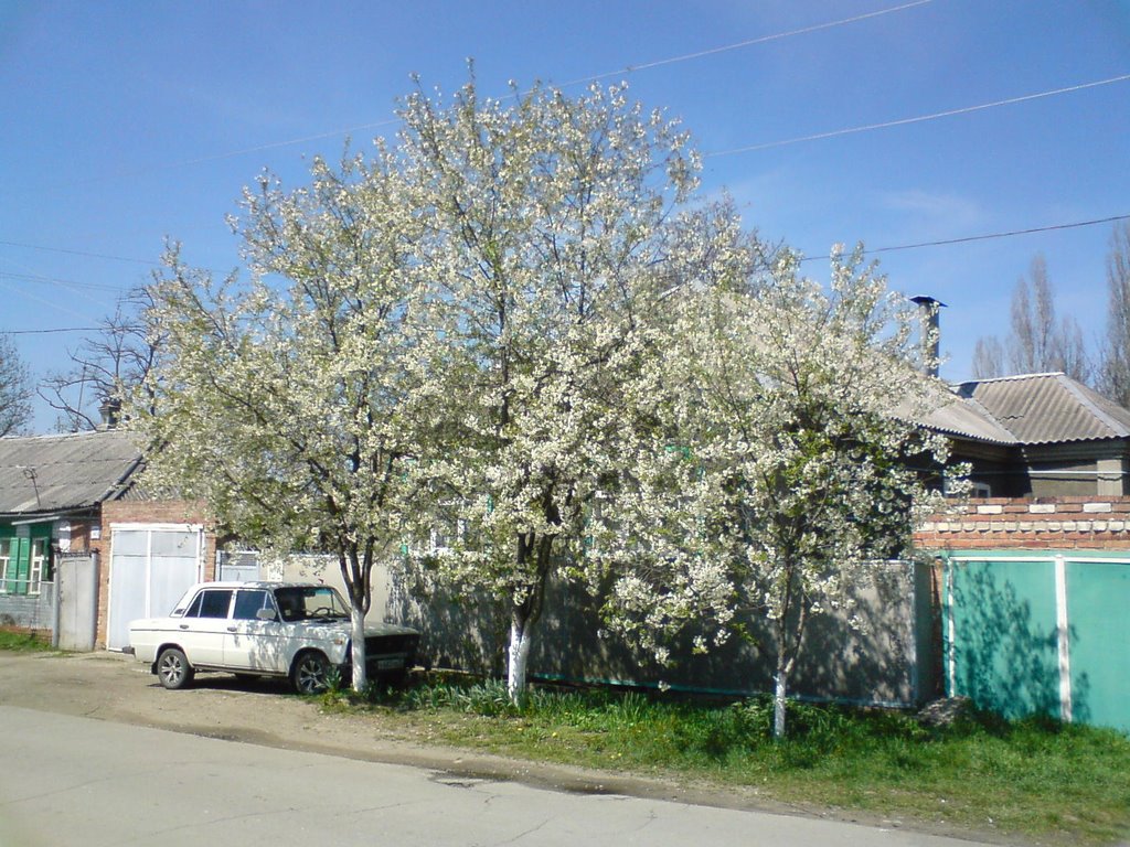 Весна, Лабинск