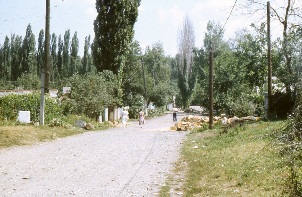 ул.Калинина.1990г., Мостовской