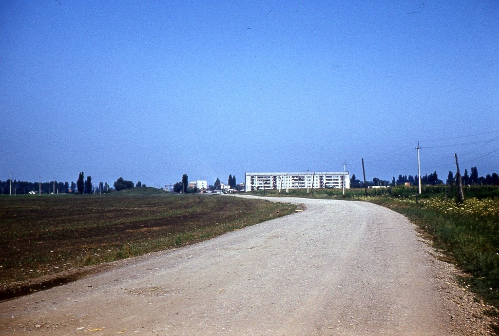 Лесовозная дорога.1983г., Мостовской