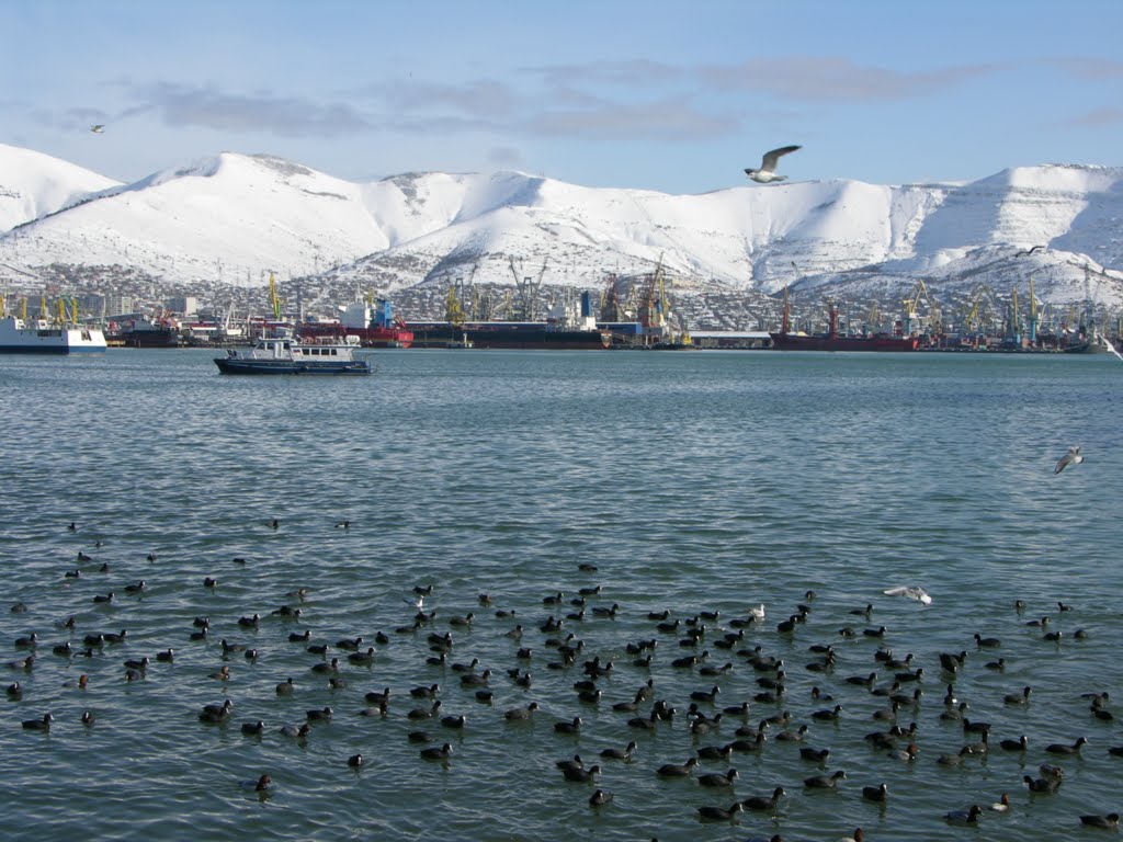 Мир фото новороссийск Мир фото новороссийск