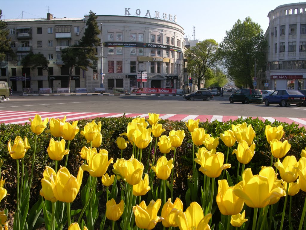 Flowers and city, Новороссийск