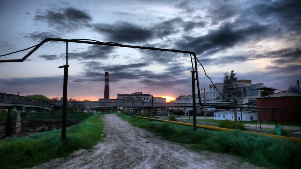 Sugar Factory at Dusk, Павловская