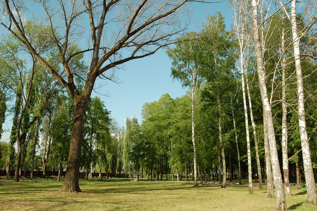 лужайка в парке, Северская