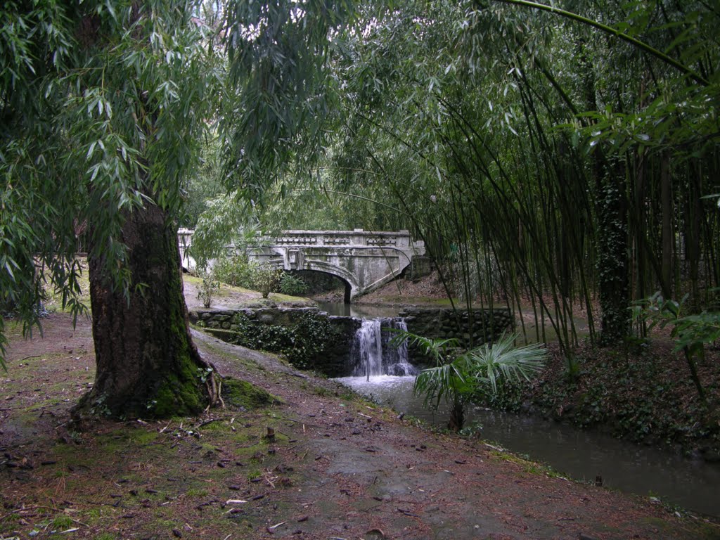 Мамайский лесопарк