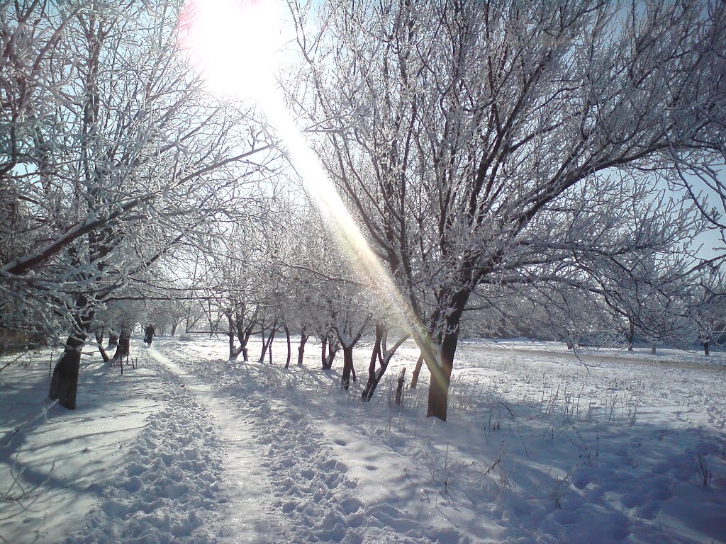 Зима, Староминская