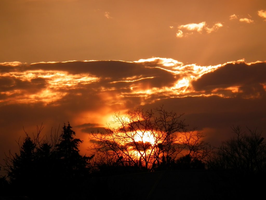 Golden sunset, Старощербиновская