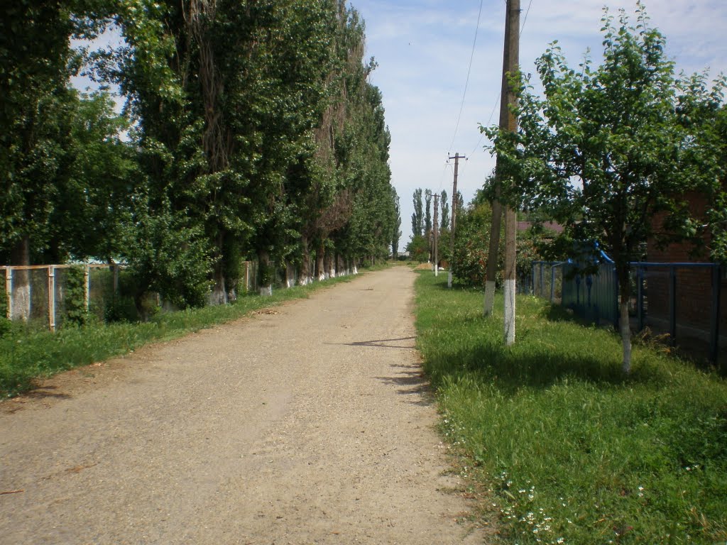 Дорога вдоль школы, Тбилисская