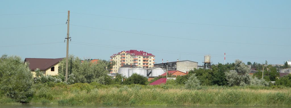 Темрюкский винзавод, вид со стороны реки Кубань, Темрюк