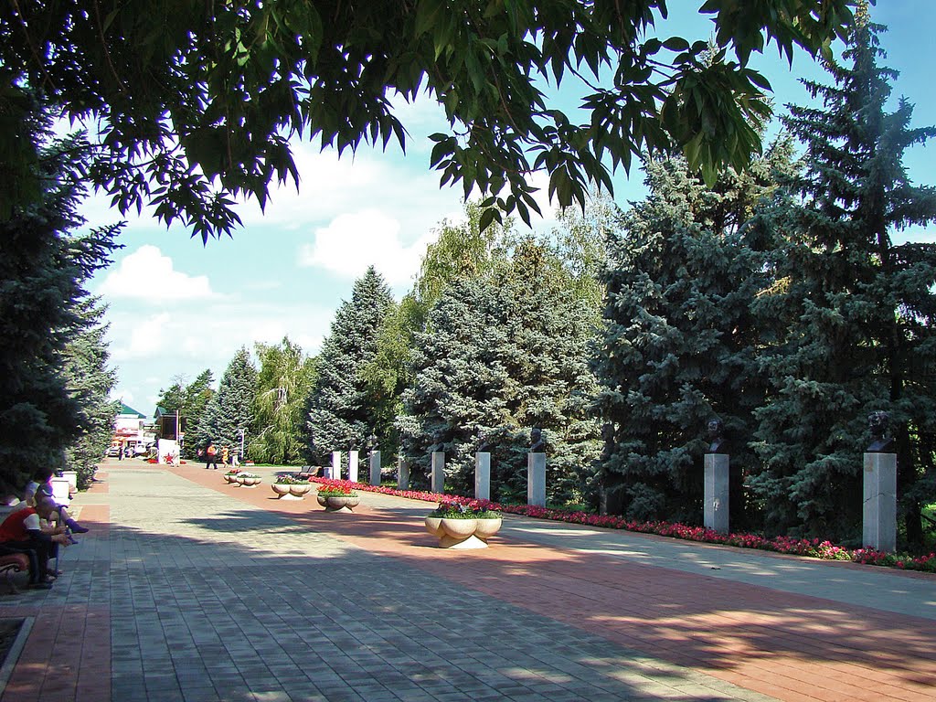 Аллея Героев в Мемориальном сквере., Тимашевск