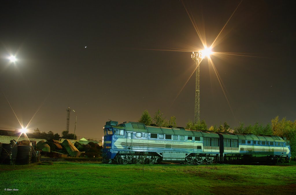 Diesel locomotive 2TE116-1696 in depot Tikhoretck, Тихорецк