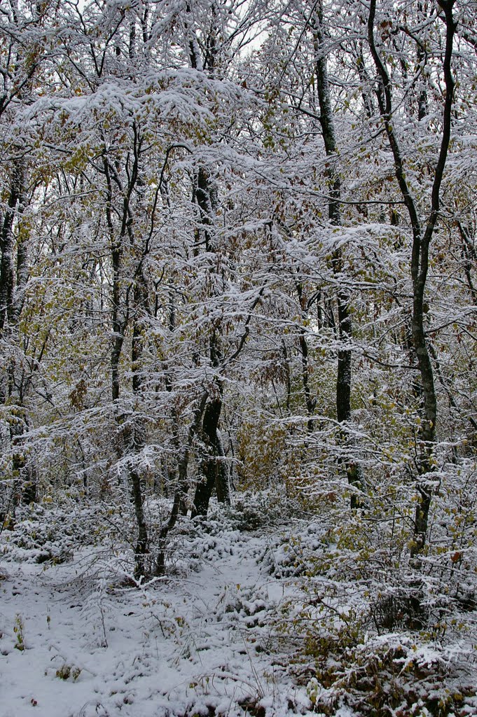 Зима на мысе Кодош-2, Туапсе