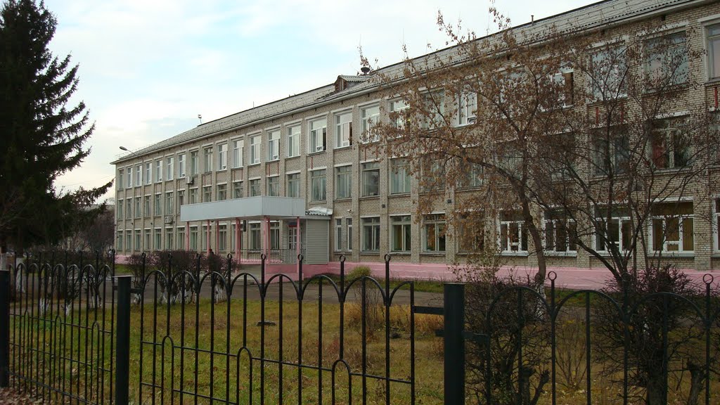 школа 170, Зеленогорск