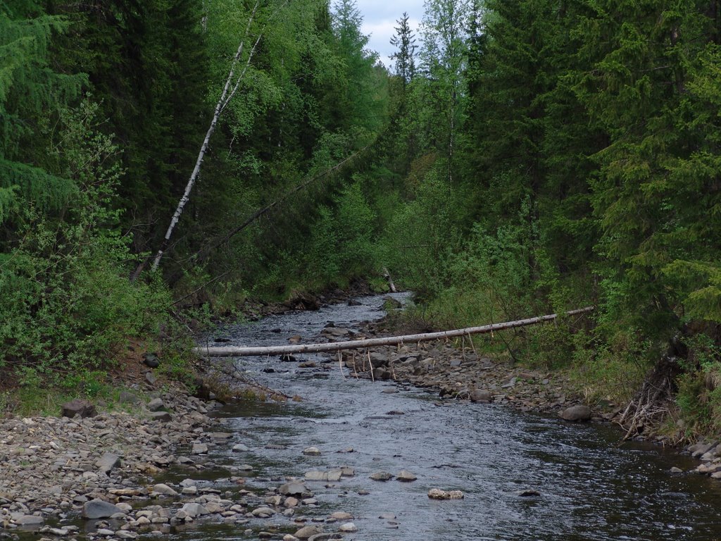 Forest river, Байкит