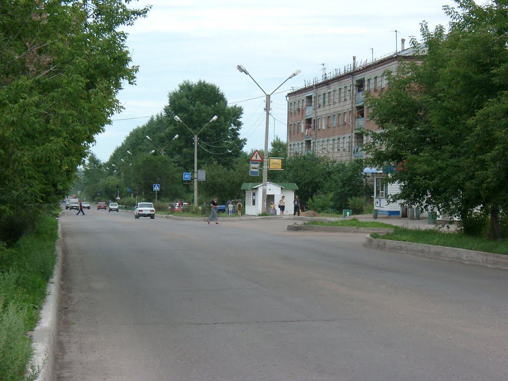 Было лето... :: Sozidatel Online "Евгений Щербаков" - Социальная сеть ФотоКто