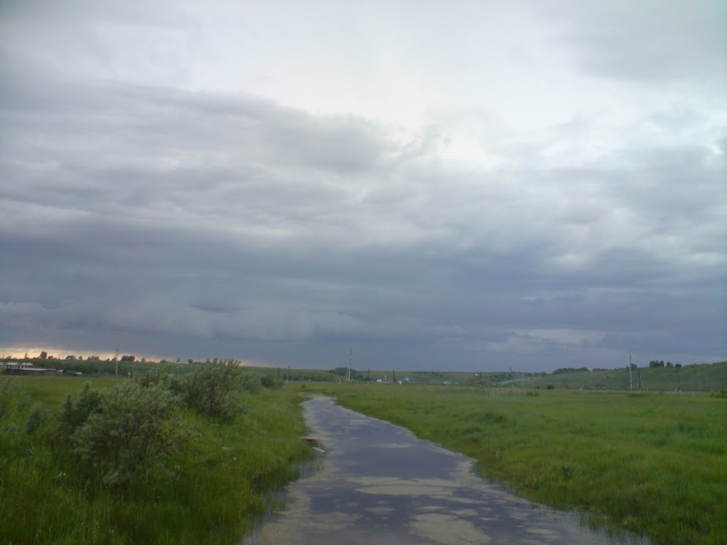 Ирбейское болото, Ирбейское