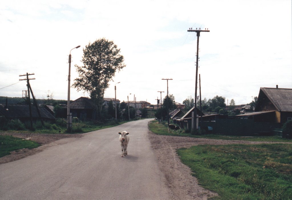 Село Каратузское, улица Кравченко, Каратузское