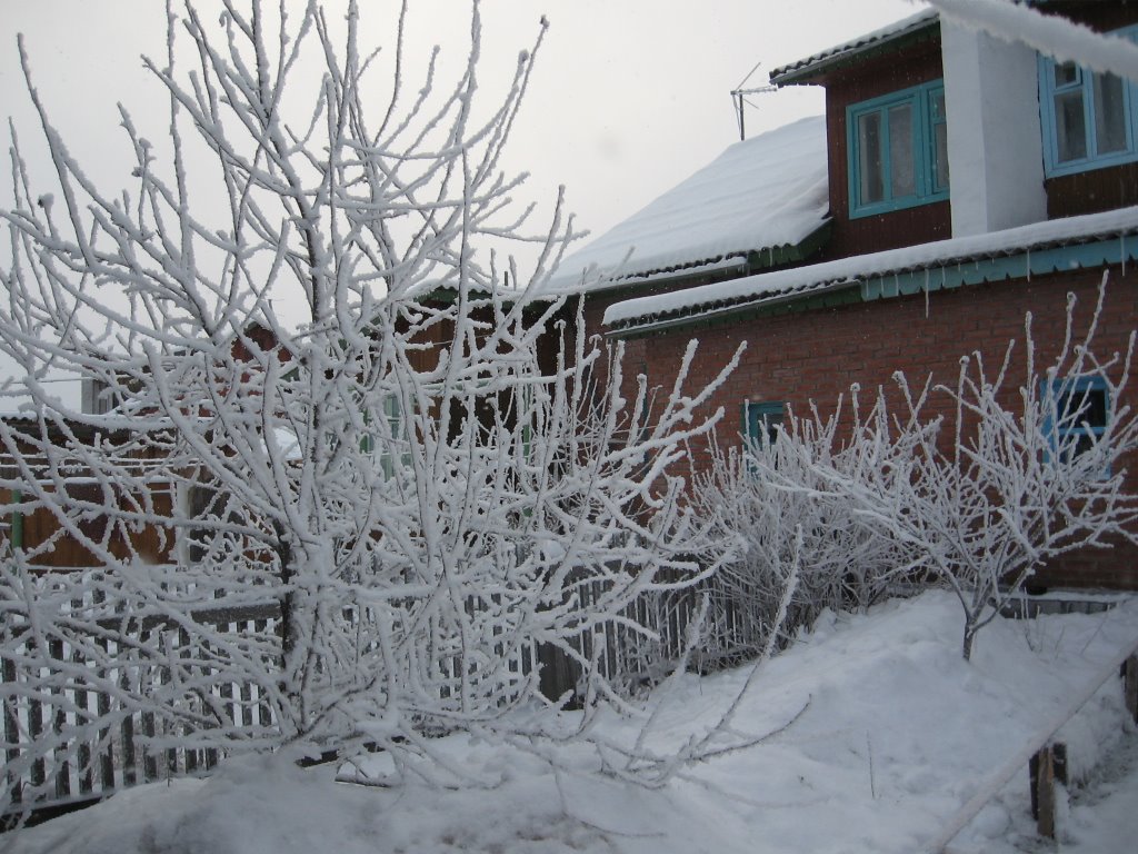 Зимний сад, Курагино
