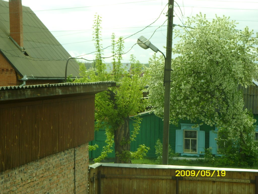 Утро на улице ШУМИЛОВА 12 - 2009г., Минусинск