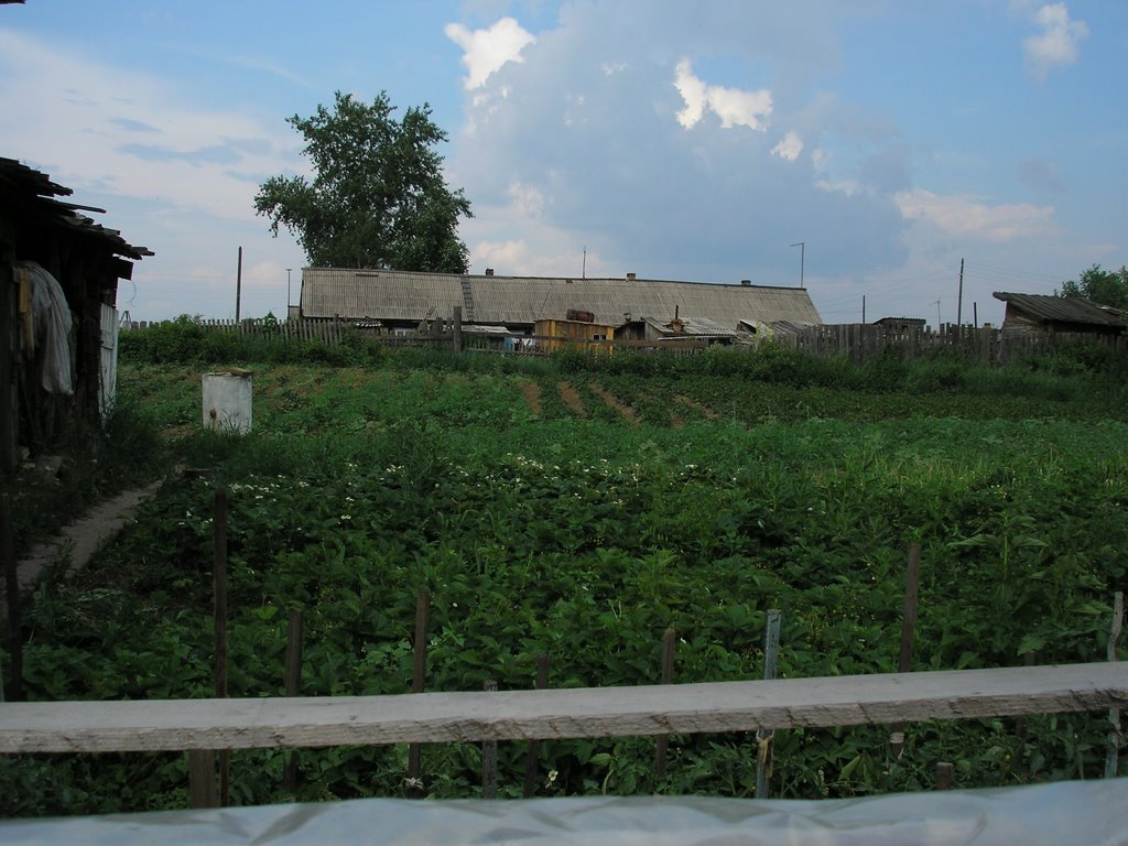огород, Мотыгино