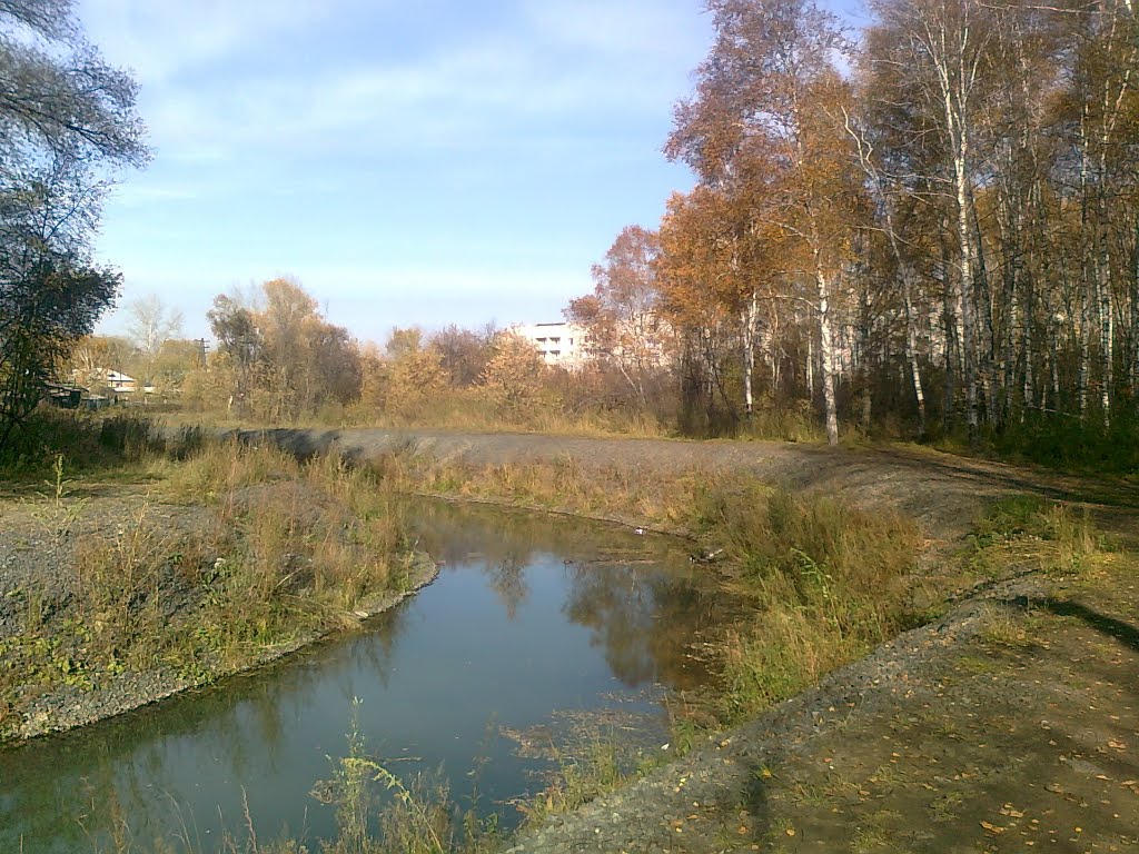 Березовая роща р.Ададымка, Назарово