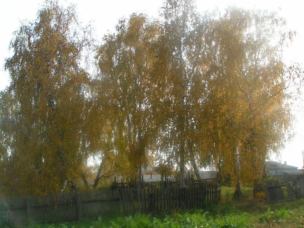 Вид с огорода у тетушки., Нижний Ингаш