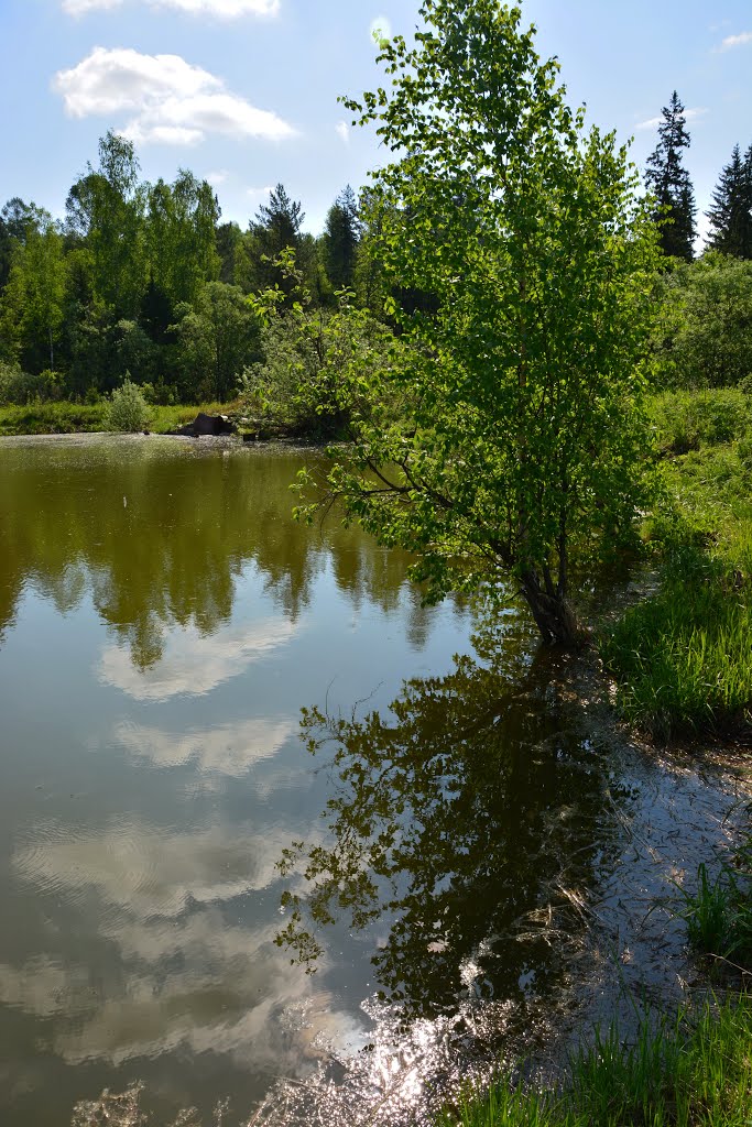 Дачное озеро, Партизанское