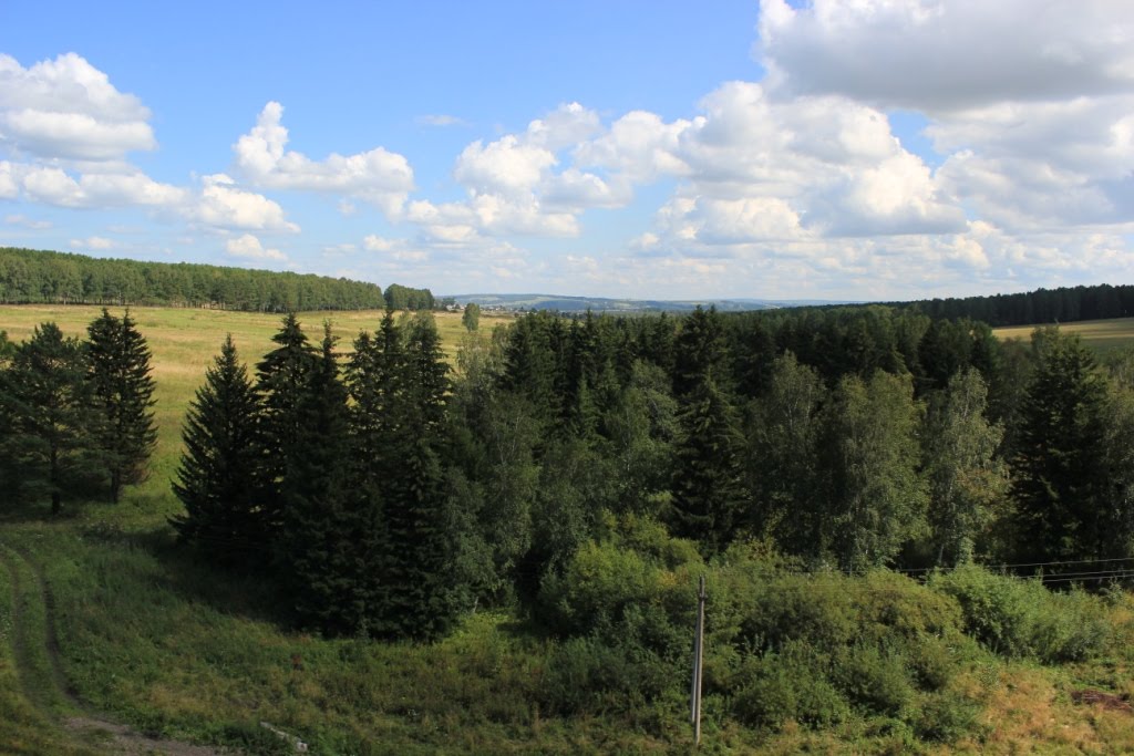 4178-й км Транссиба. Западнее Камарчаги, Партизанское