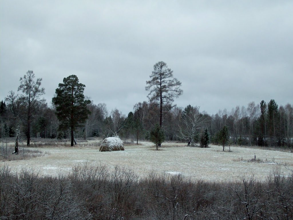 First snow, Пировское