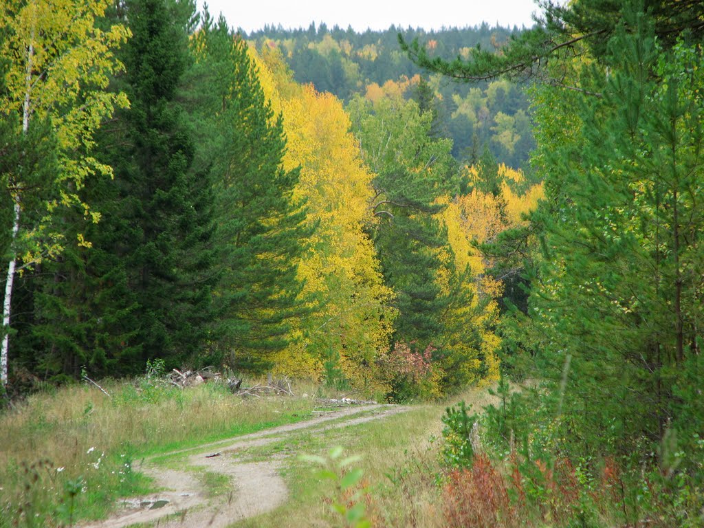 Осенний лес, Пировское