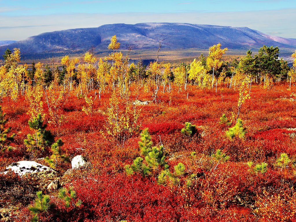 Осенние краски Енашимского Полкана ( The fall colors of Enashimskiy Polkan), Северо-Енисейский