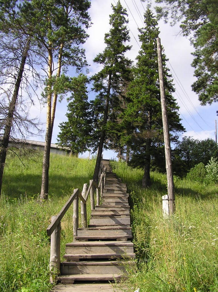 Лестница в Сосновом бору, Тюхтет