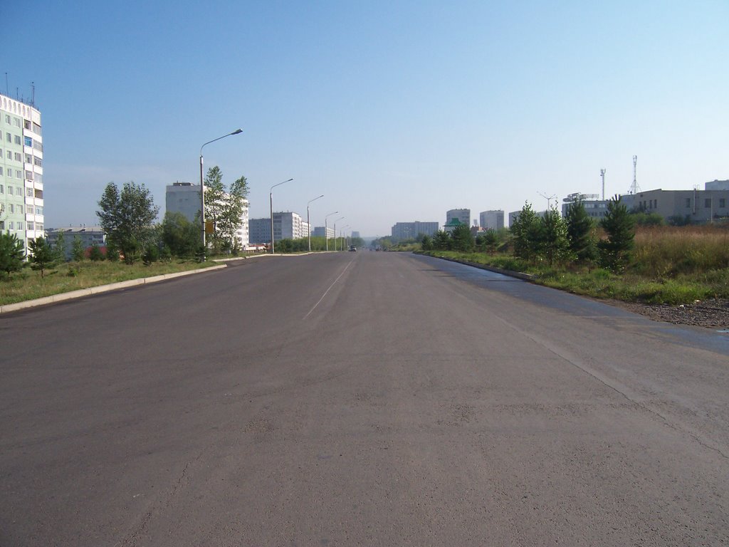 улица Ленинского Комсомола, Сосновоборск