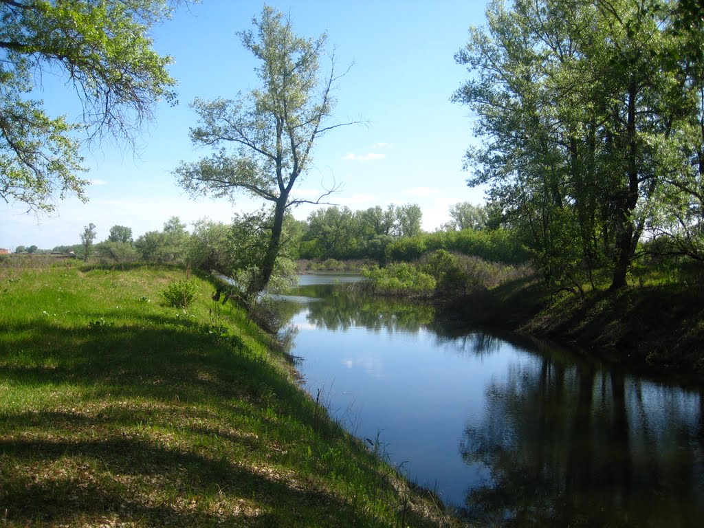 Река Ик впадает в реку Тобол, Глядянское