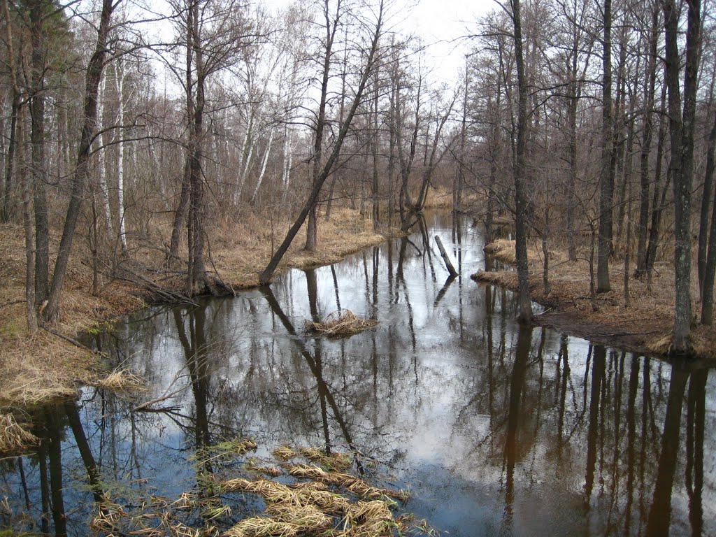 Река Ик в апреле, Глядянское