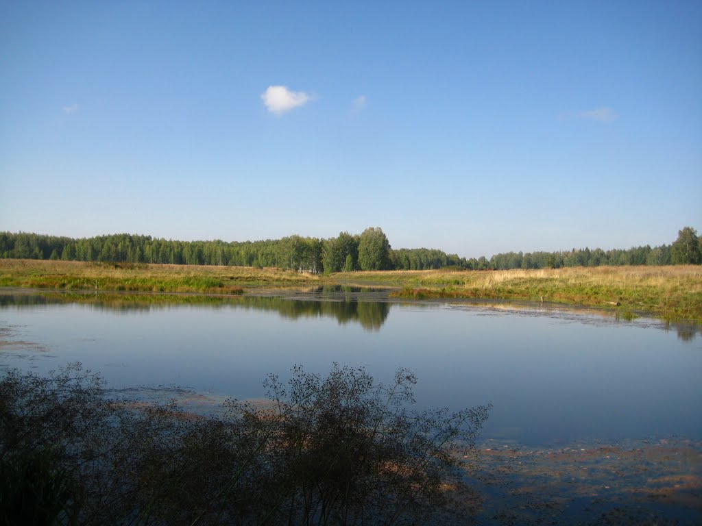 Пруд (Pond), Глядянское