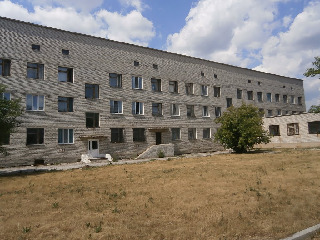 Поликлиника села Кетово(вид сзади), Кетово