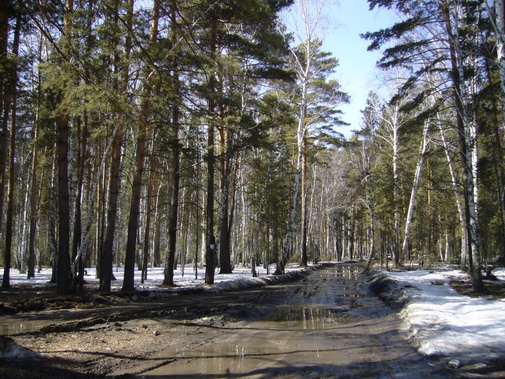 Курган  (лес), Кетово