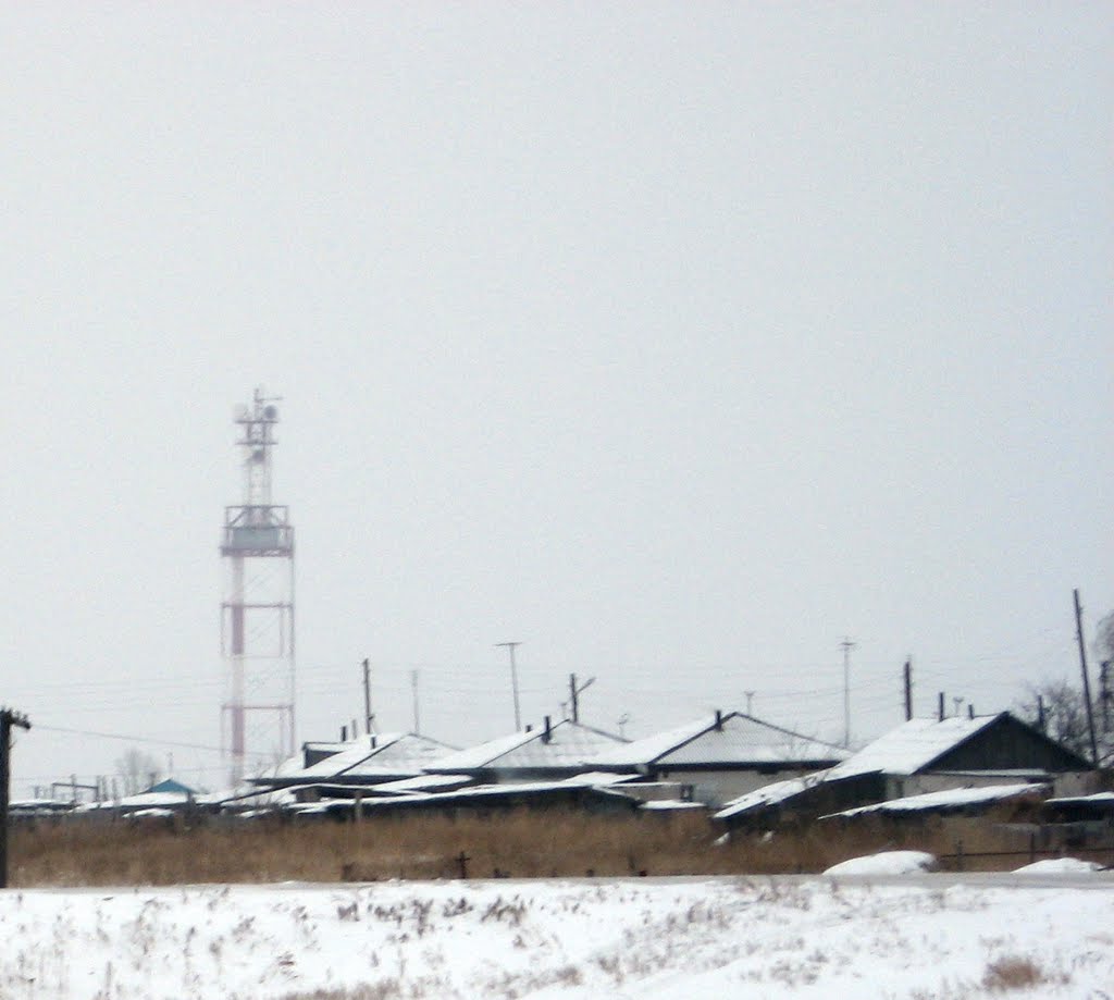Башня в п. Лебяжье, Лебяжье