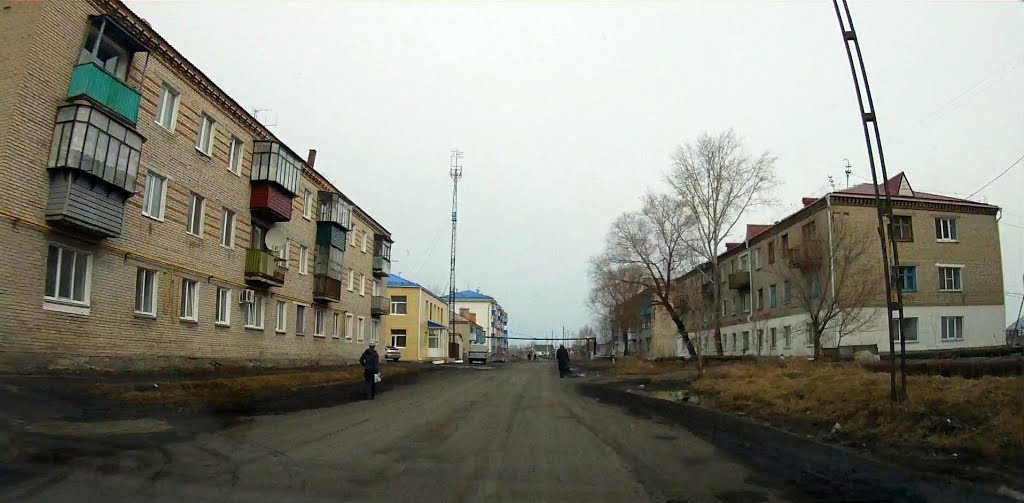 улица Пушкина, Лебяжье