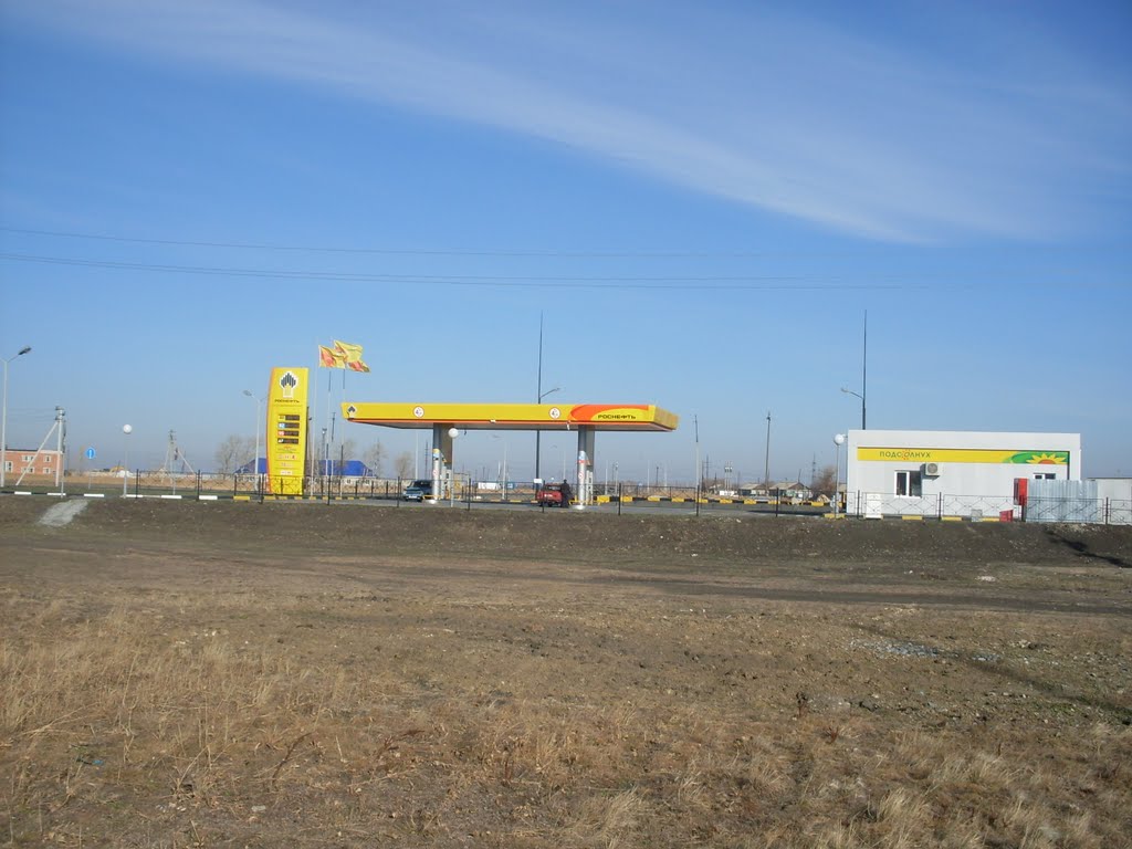 Новая АЗС "Роснефть" (New Rosneft gas station), Макушино