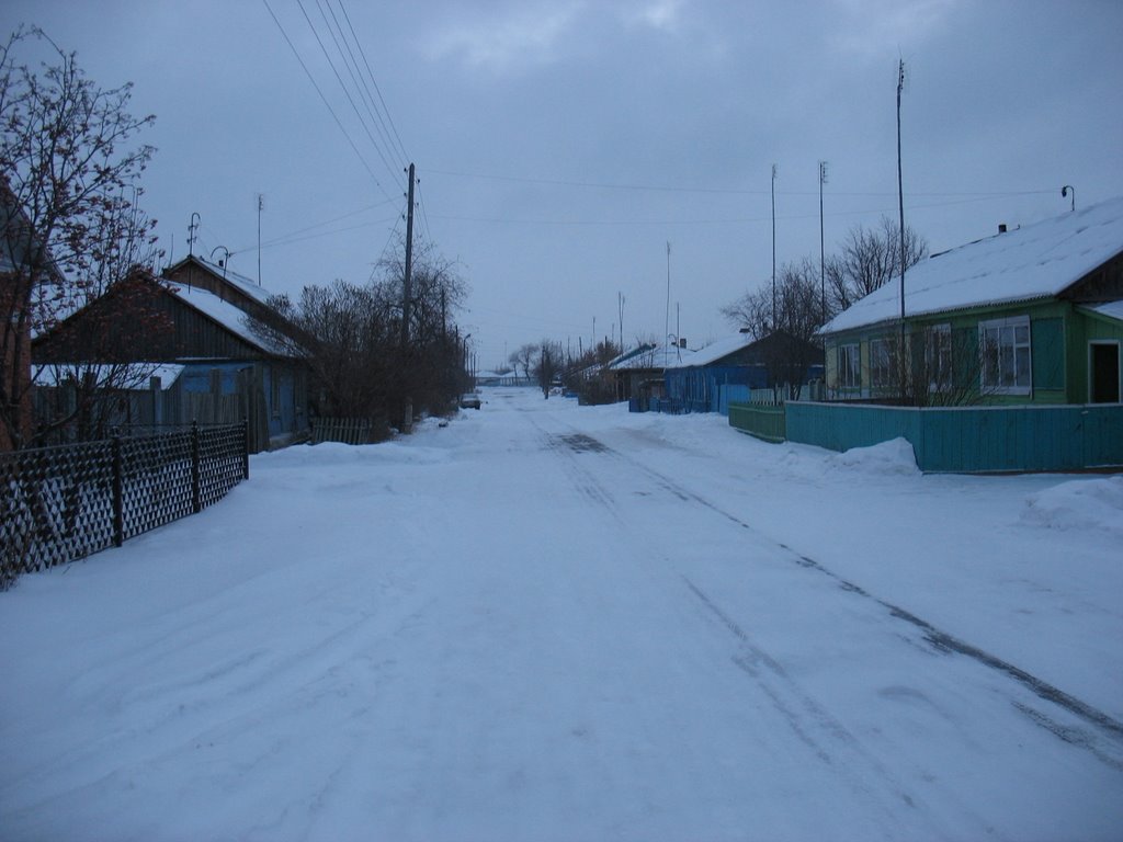 Улица Труда, Сафакулево