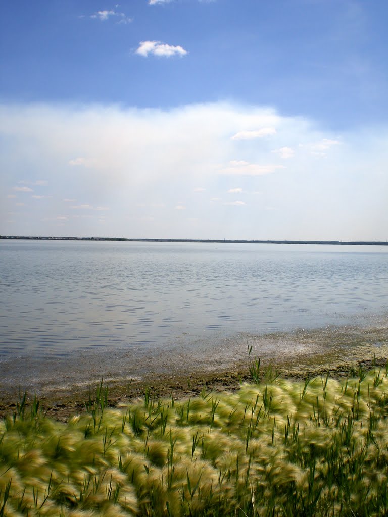 Озеро Нифановское, Щучье