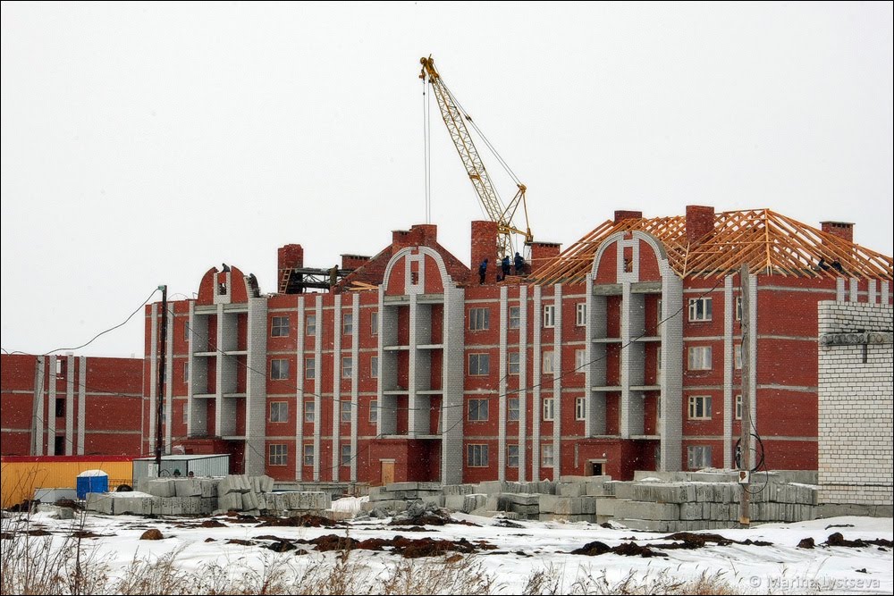 Архитектурные излишества в процессе постройки, Щучье