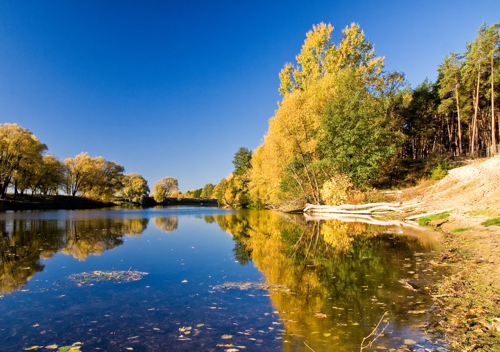 Осень на реке, Альменево