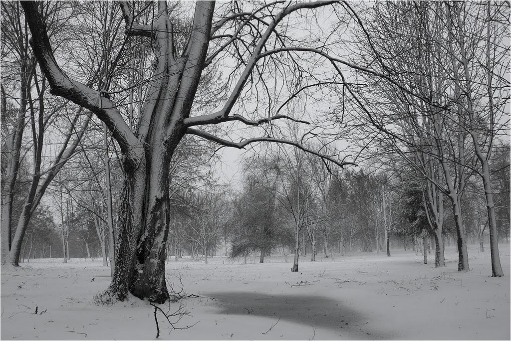 В парке зимой, Глушково