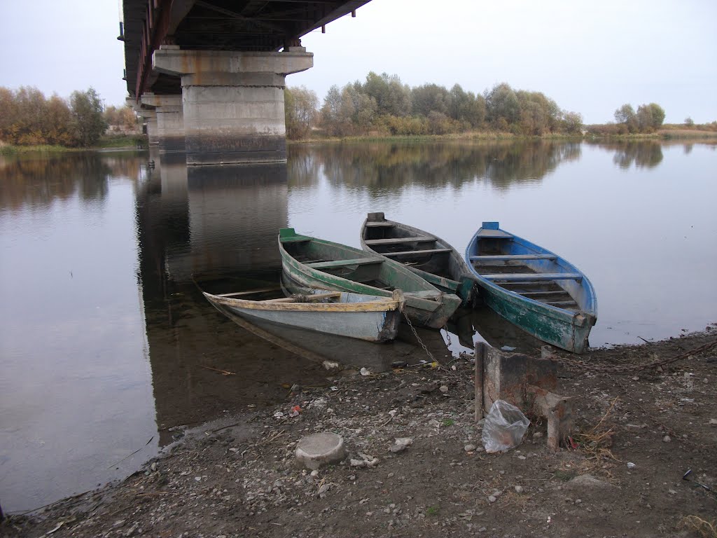Мост глушково фото Мост глушково фото
