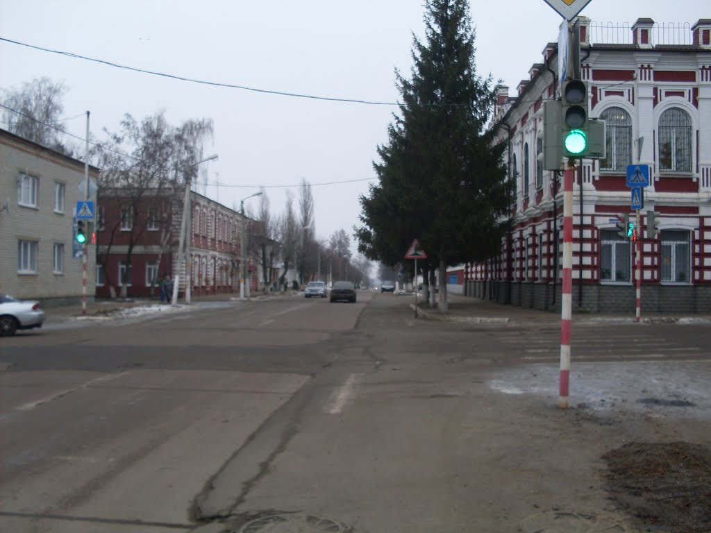 Lenin Street, Дмитриев-Льговский